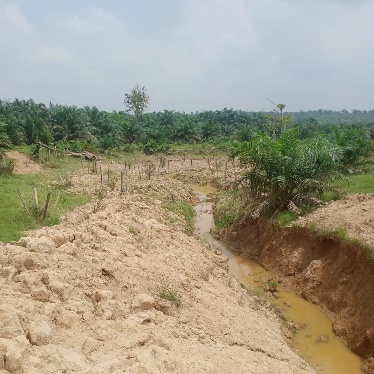 Danau Baru Milik Adat Istiadat Desa Kunangan Di Rampas Mafia Tanah Juga