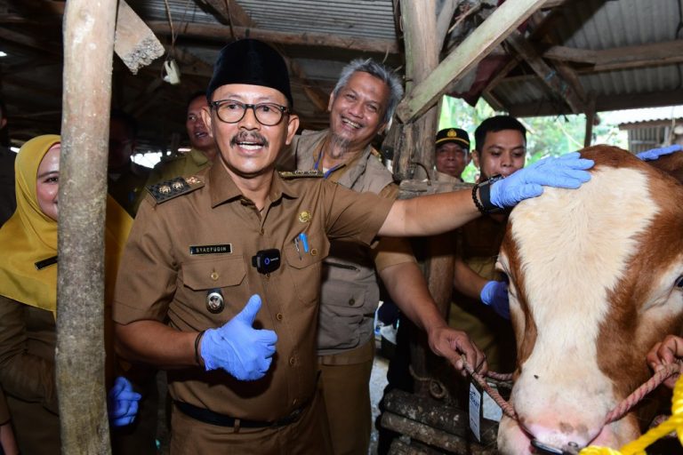 Jelang-Iduladha-Wabup-Syaefudin-Monitoring-Ketersediaan-dan-Kesehatan-Hewan-Qurban-768x512