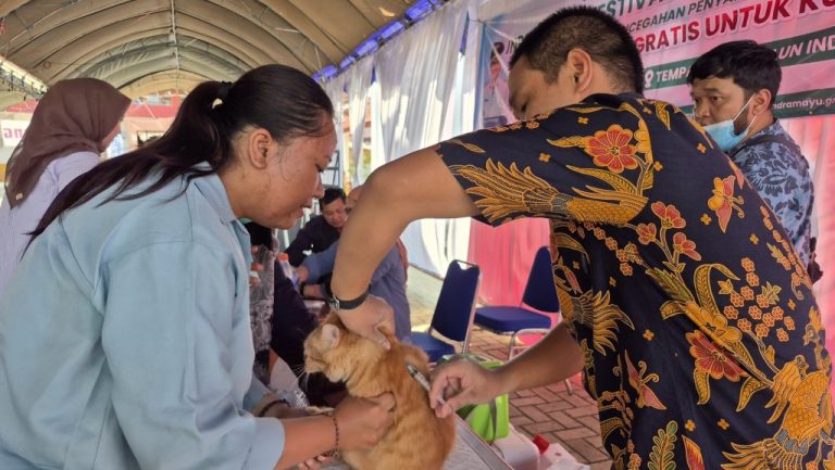 Vaksinasi-Rabies-Gratis-untuk-Kucing-Warnai-Indramayu-Festival-Reptil-Contest-768x433